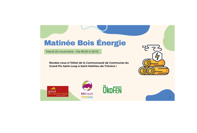 Matinée bois énergie Pic st Loup