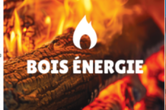 bois enregies