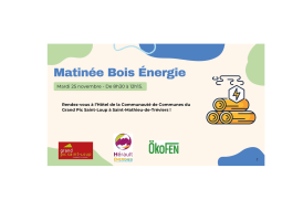 Matinée bois énergie Pic st Loup