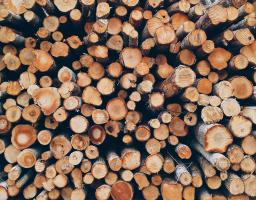 bois energie renouvelable