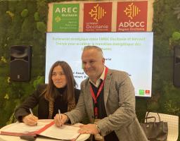 Arec